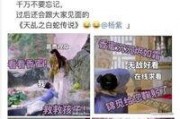 娱乐吃瓜解约视频,解约风波背后的娱乐吃瓜大揭秘